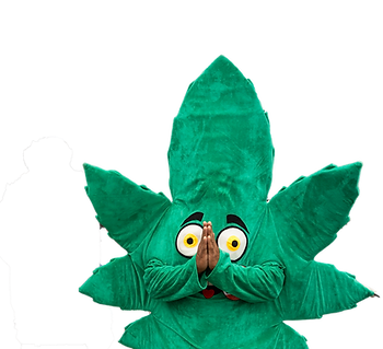 bud isolated.png